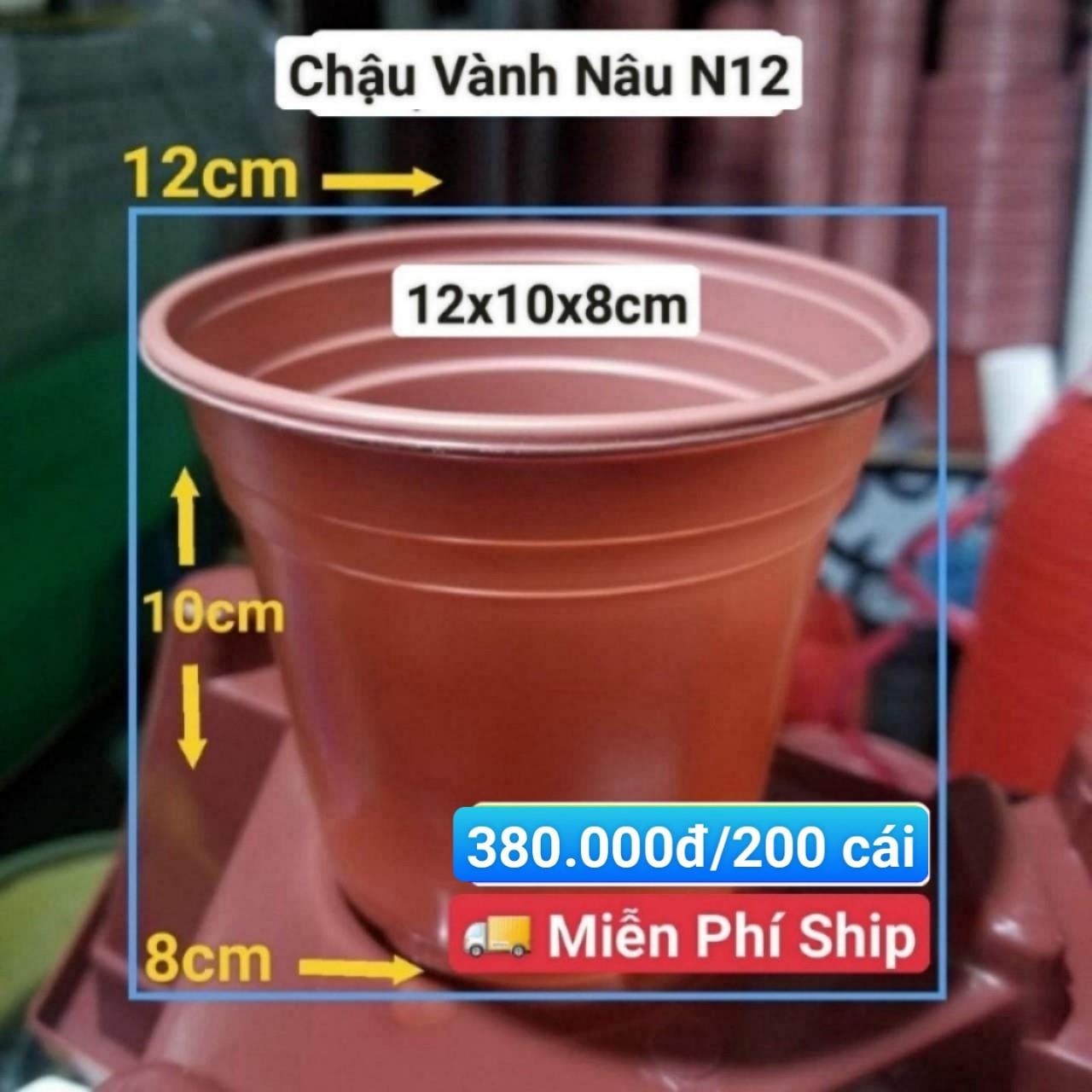 200 Chậu Vành Nâu N12