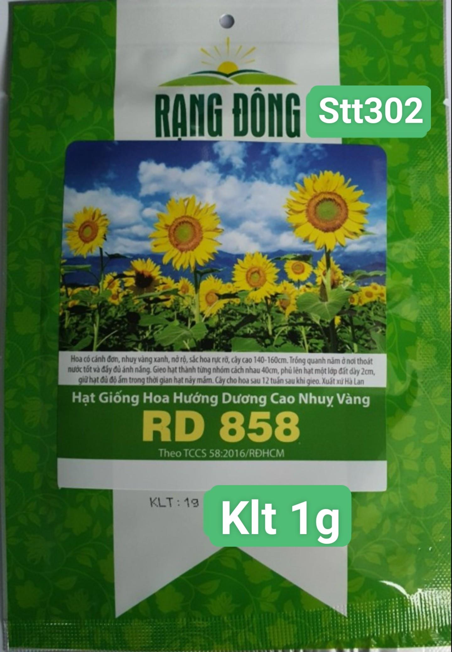Hoa Hướng Dương Cao STT302