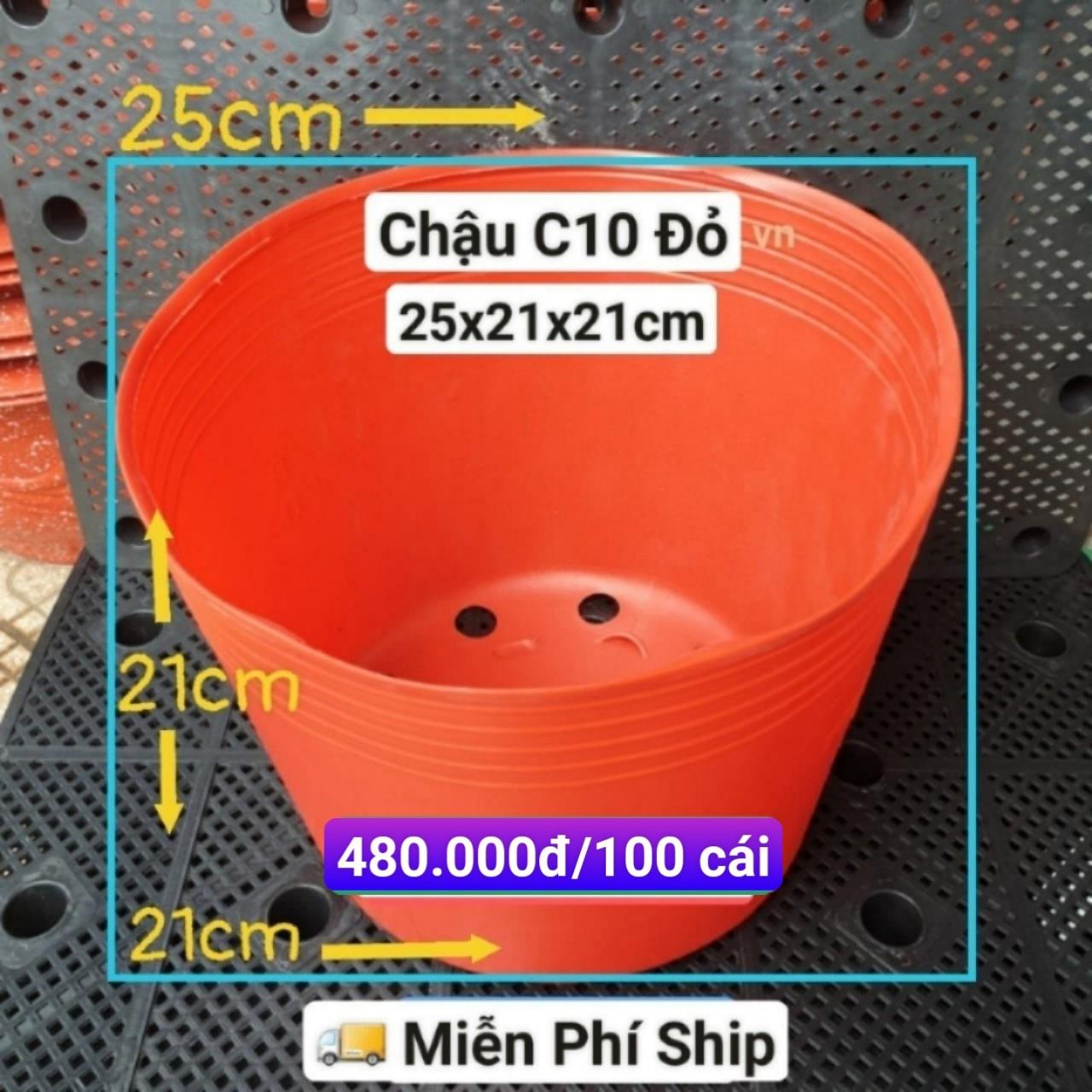 100 Chậu Mềm Đỏ C10