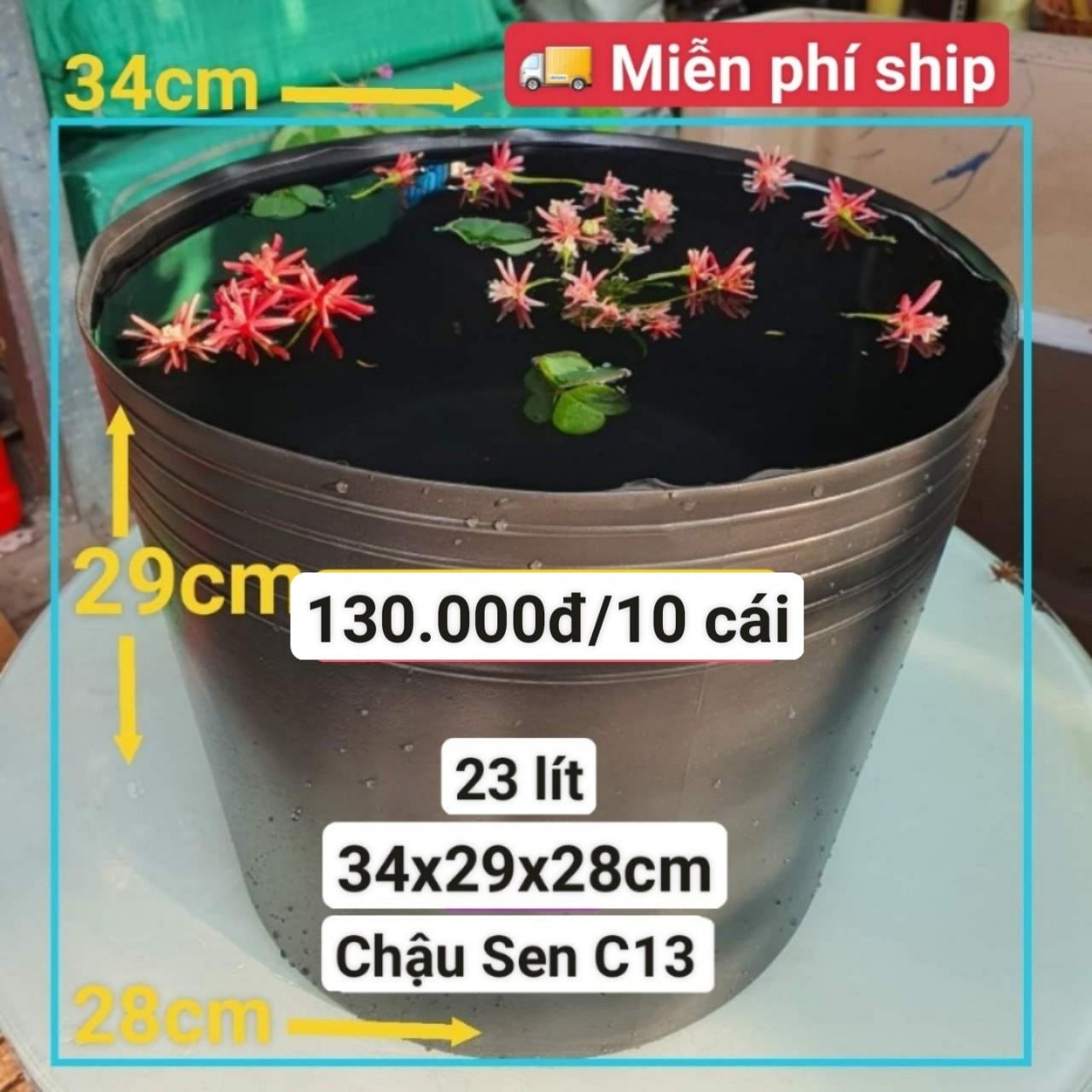 10 Chậu Nhựa Trồng Sen C13