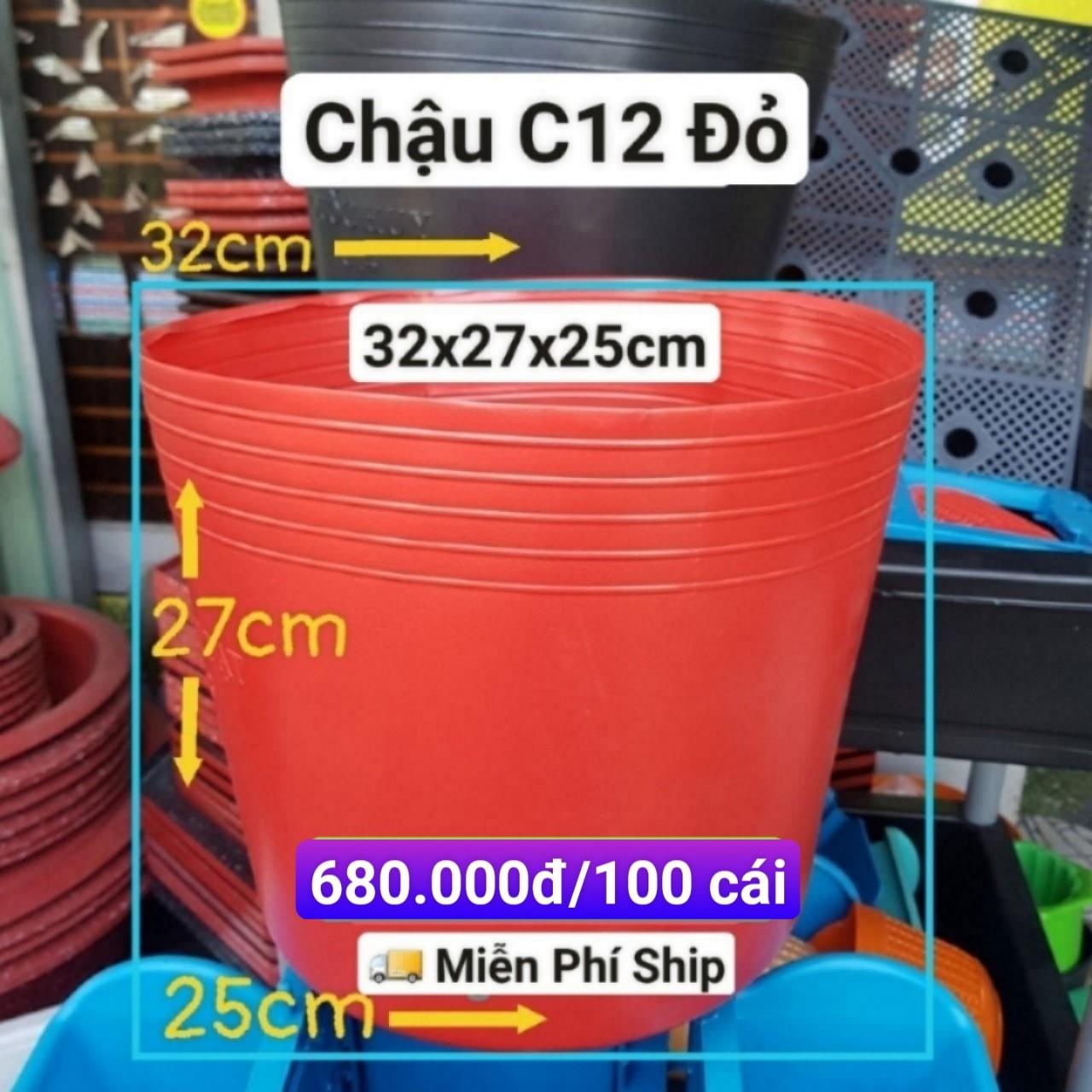 100 Chậu Mềm Đỏ C12