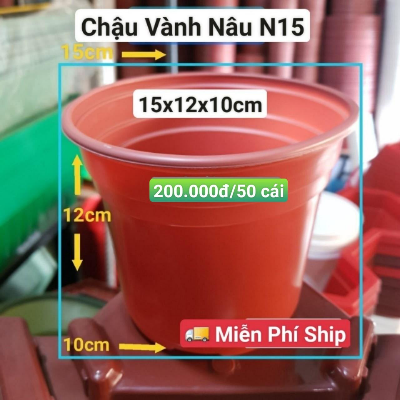 50 Chậu Vành Nâu N15