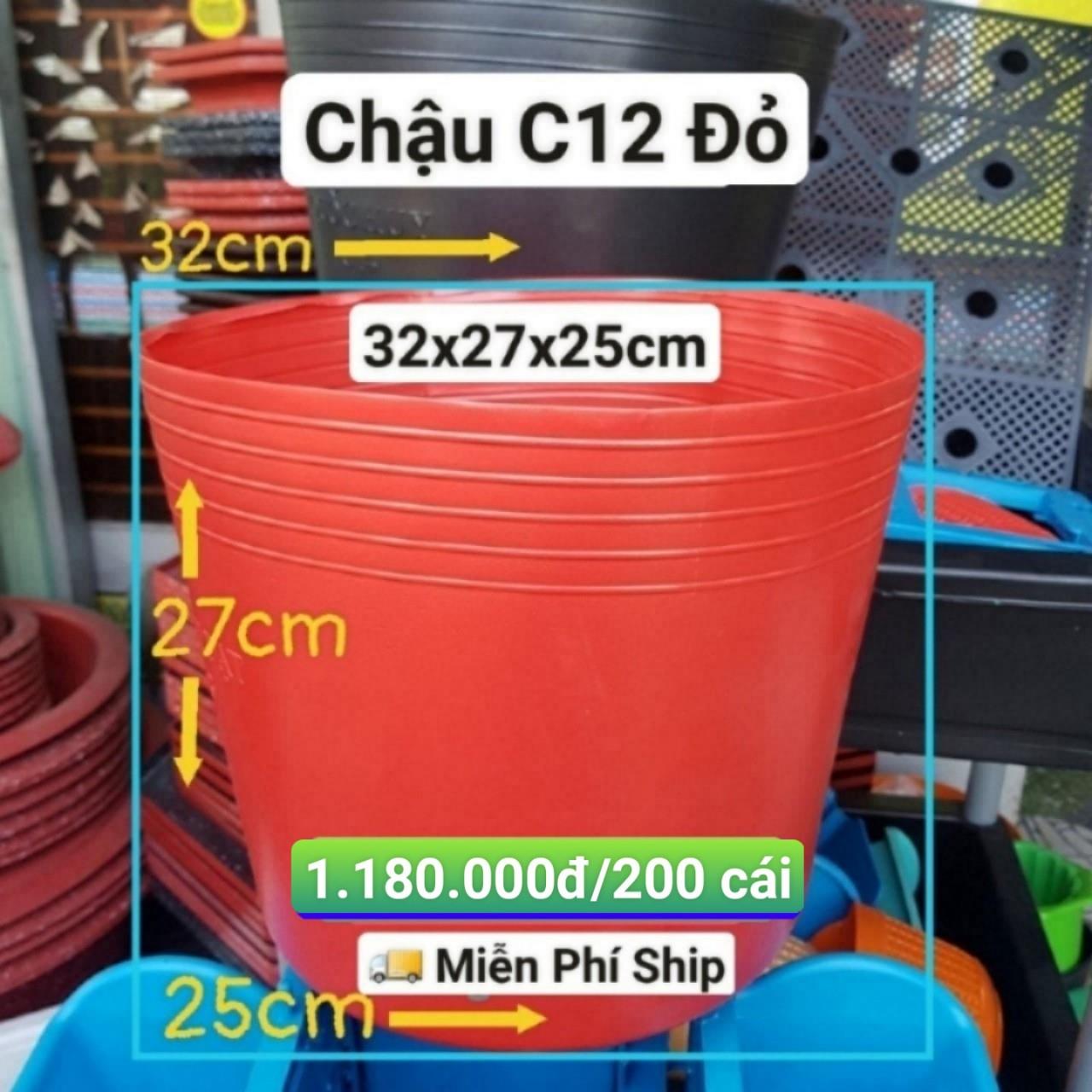 200 Chậu Mềm Đỏ C12