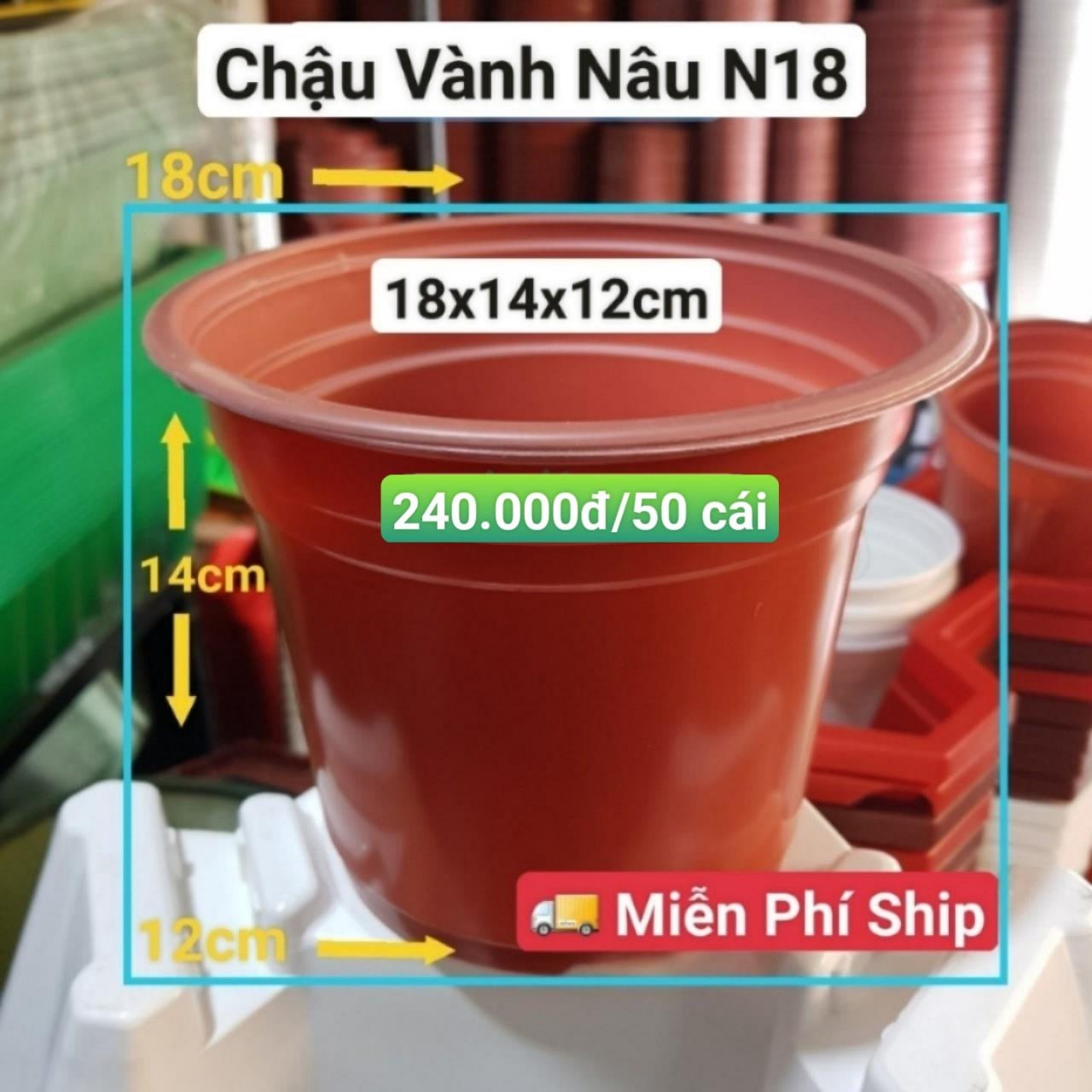50 Chậu Vành Nâu N18