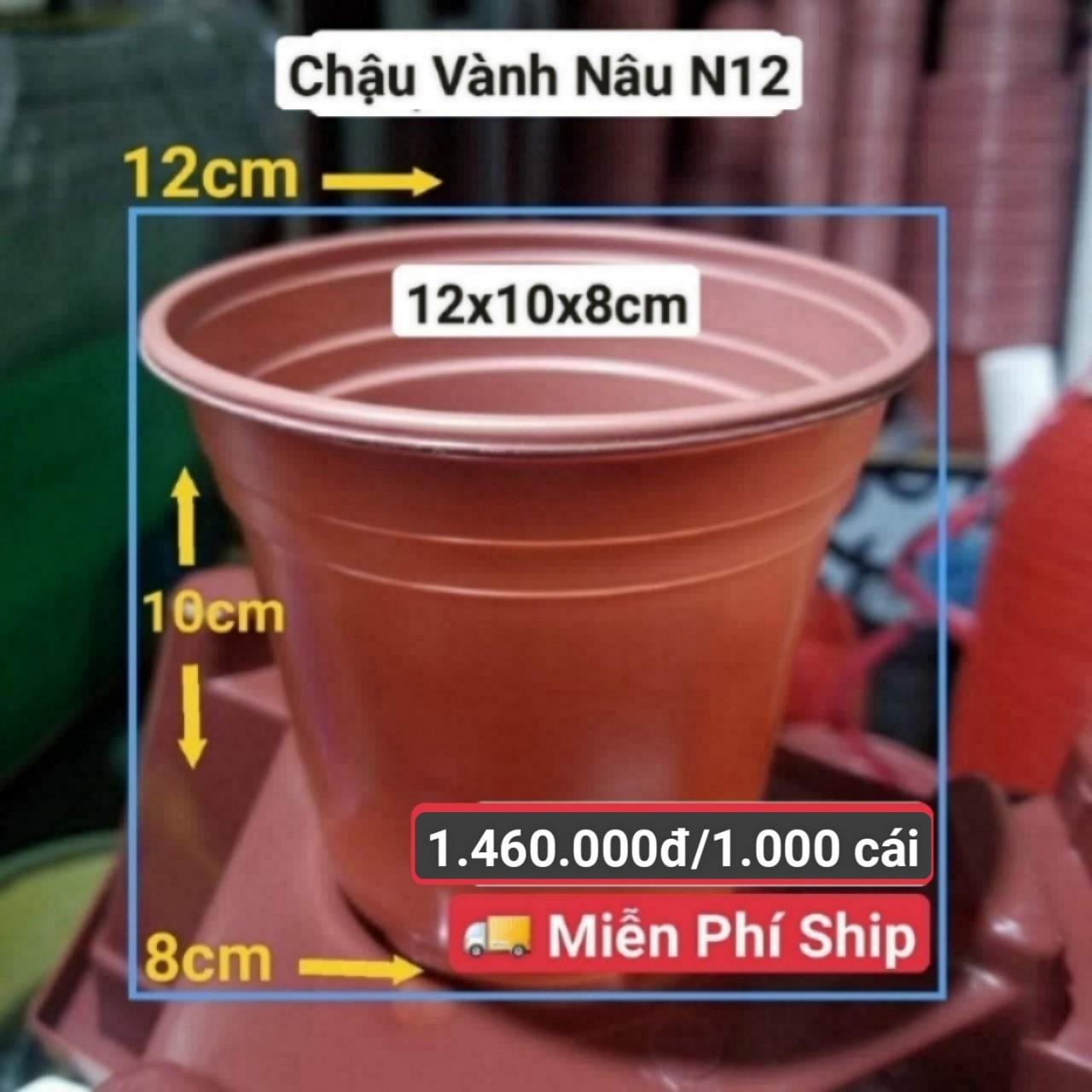 1000 Chậu Vành Nâu N12