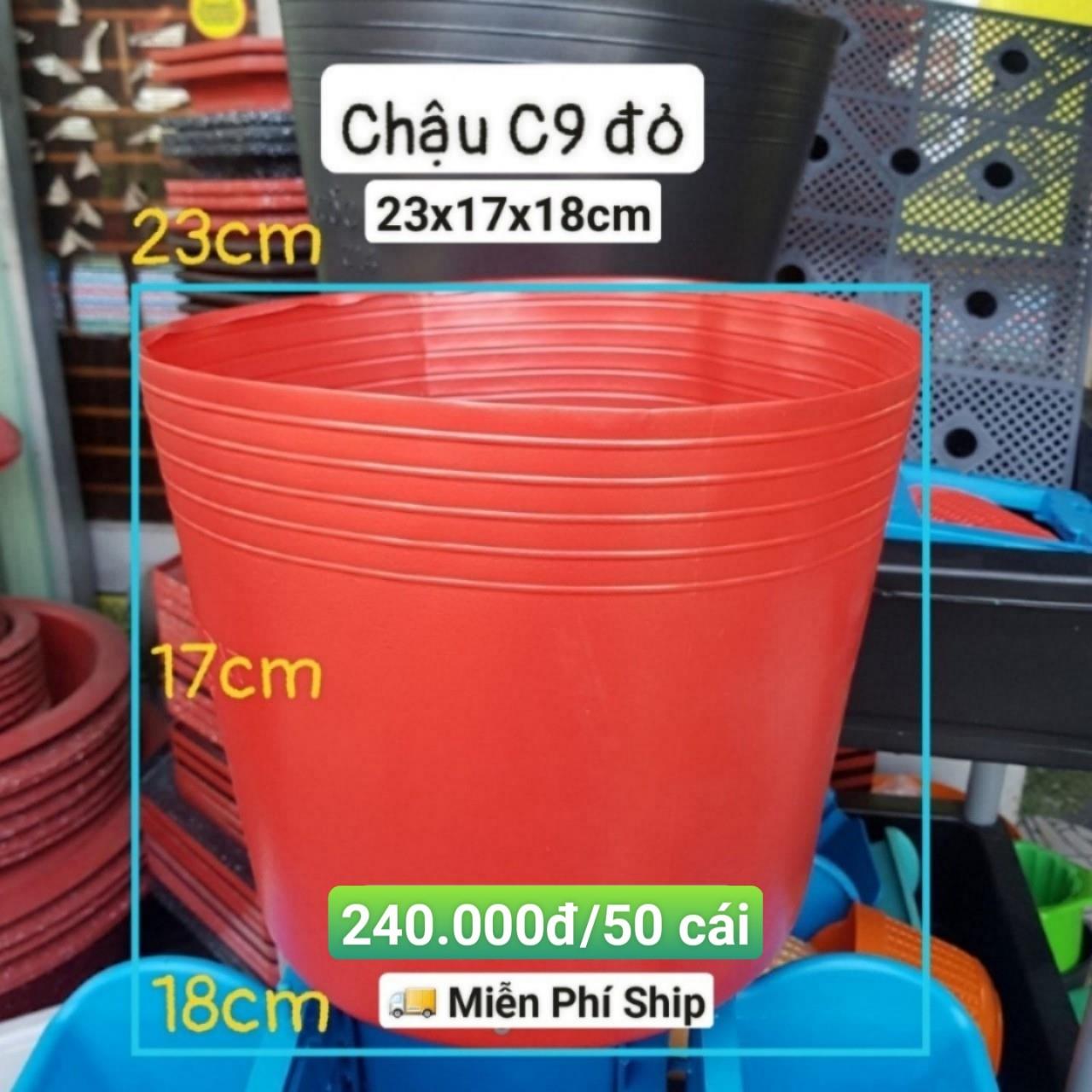 50 Chậu Mềm Đỏ C9