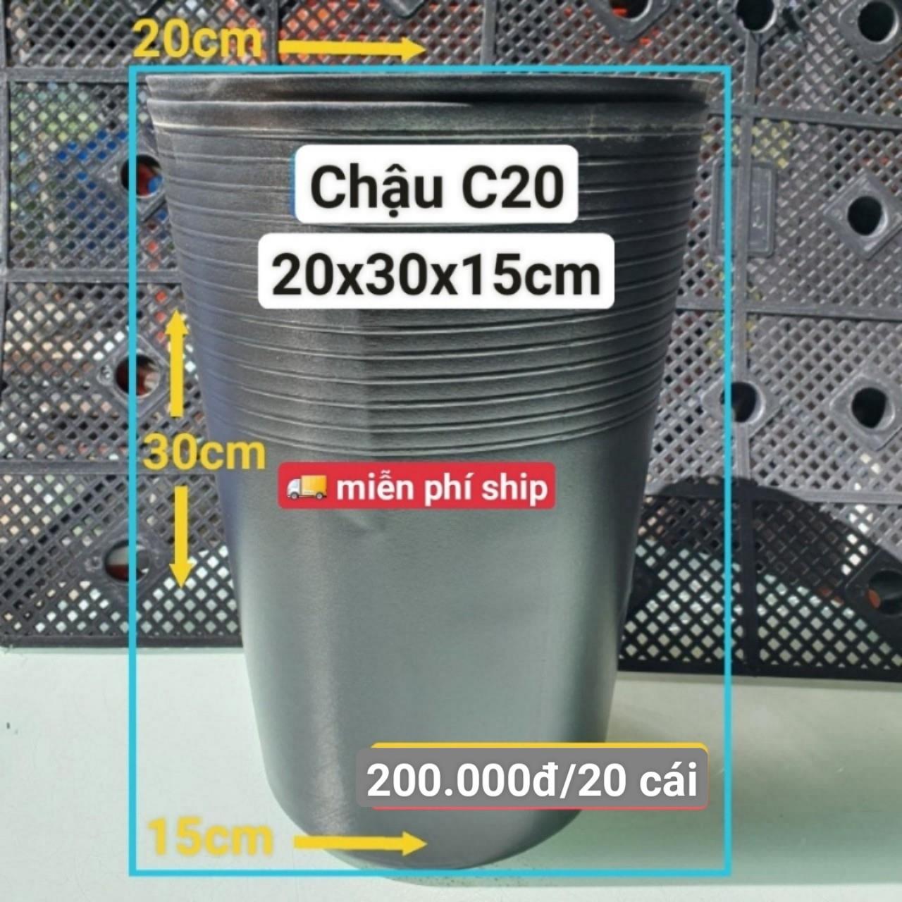 20 Chậu Ươm Cây Giống C20