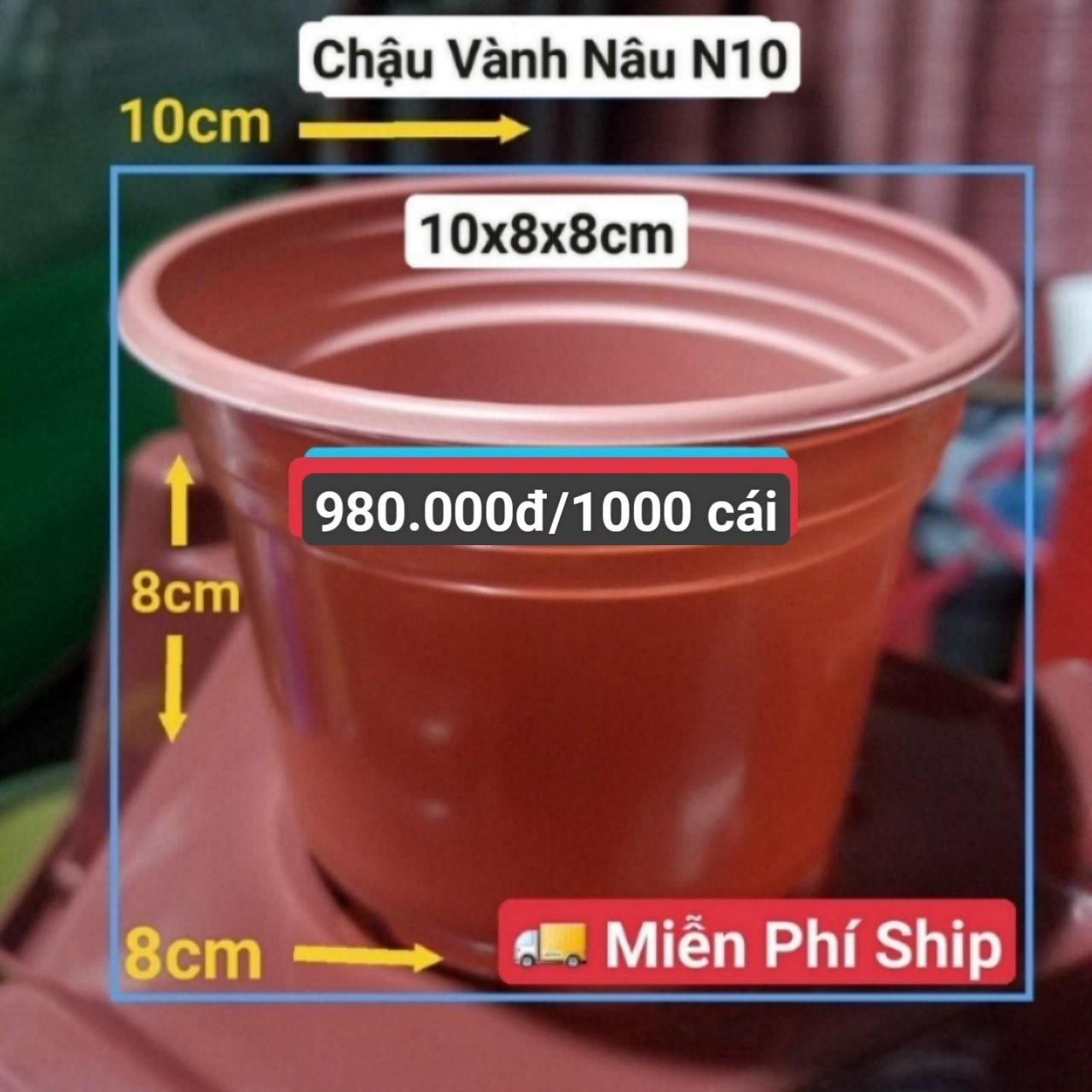 1000 Chậu Vành Nâu N10
