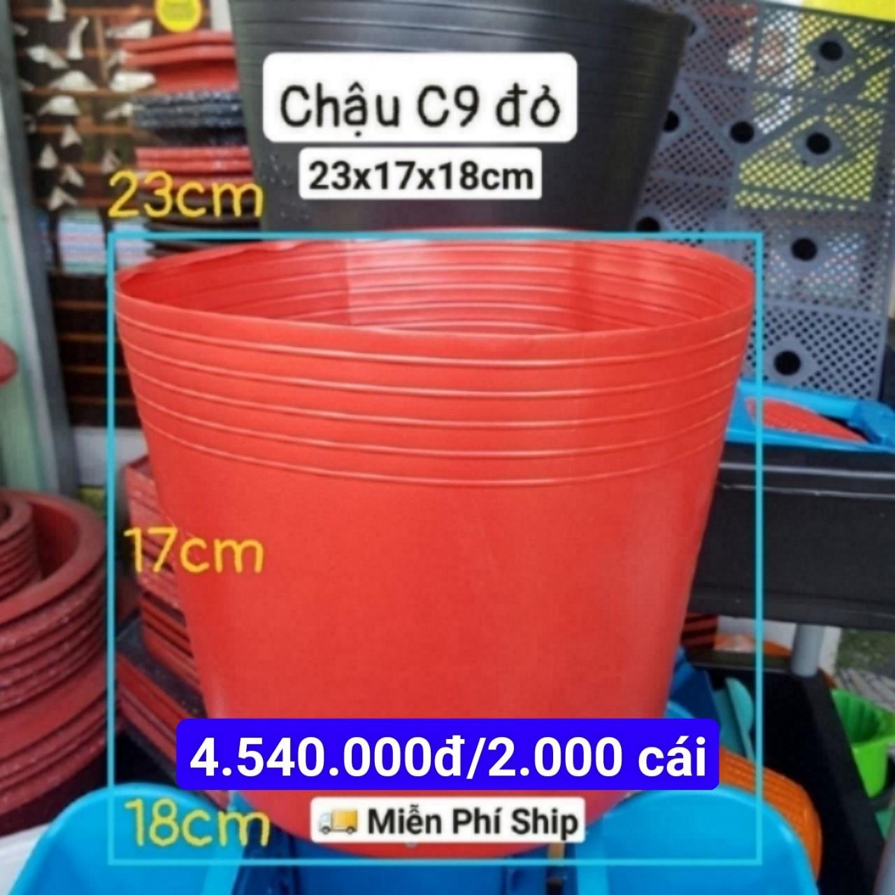 2000 Chậu Mềm Đỏ C9