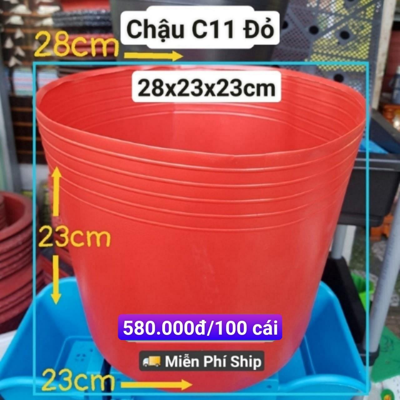 100 Chậu Mềm Đỏ C11