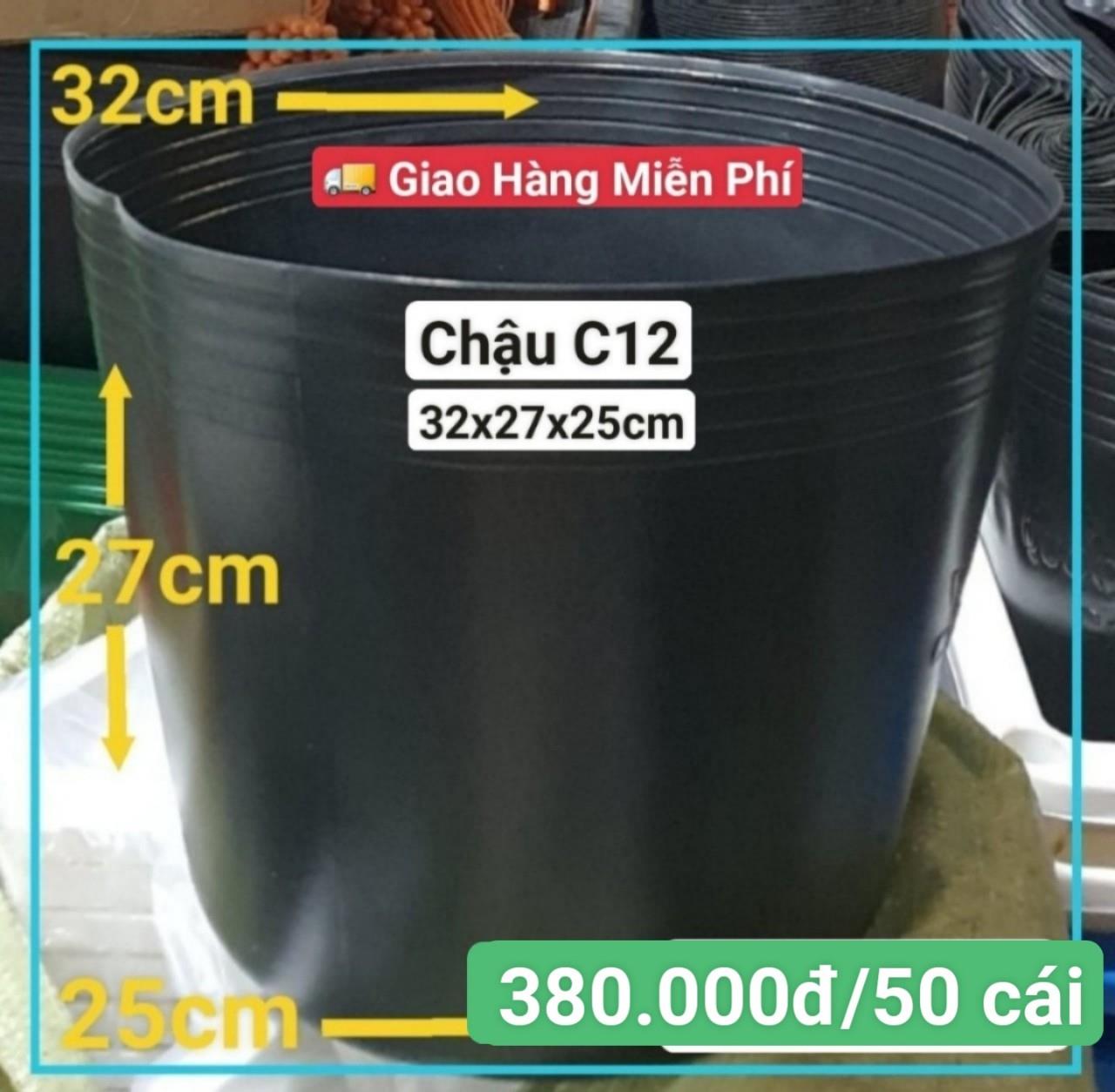 50 Chậu Mềm Đen C12