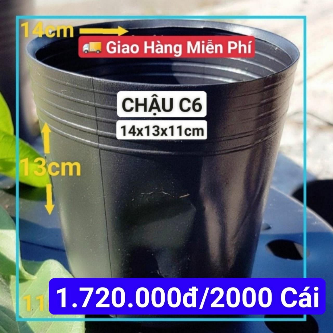 2000 Chậu Mềm Đen C6