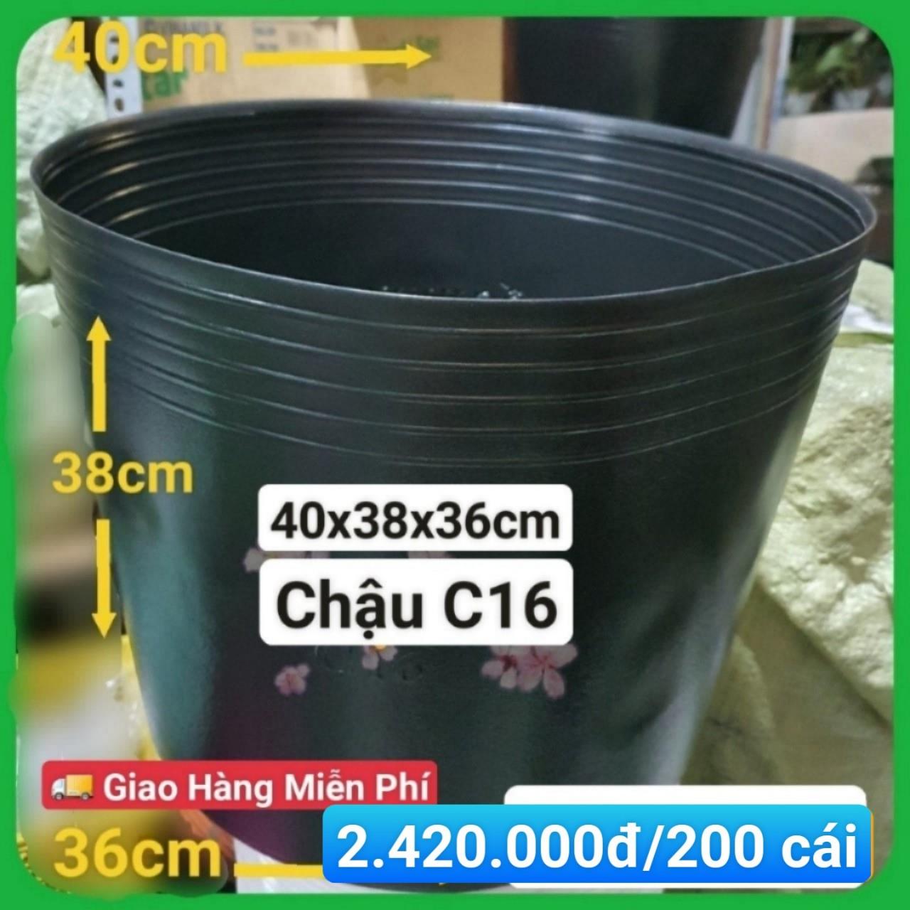 200 Chậu Mềm Đen C16