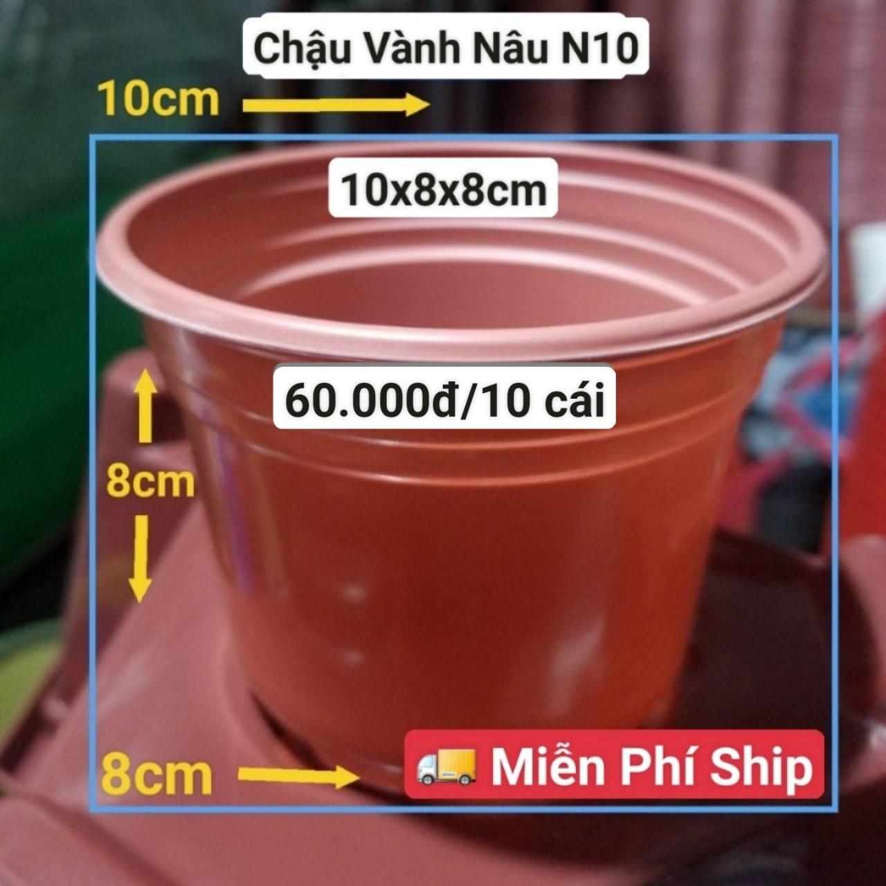 10 Chậu Vành Nâu N10