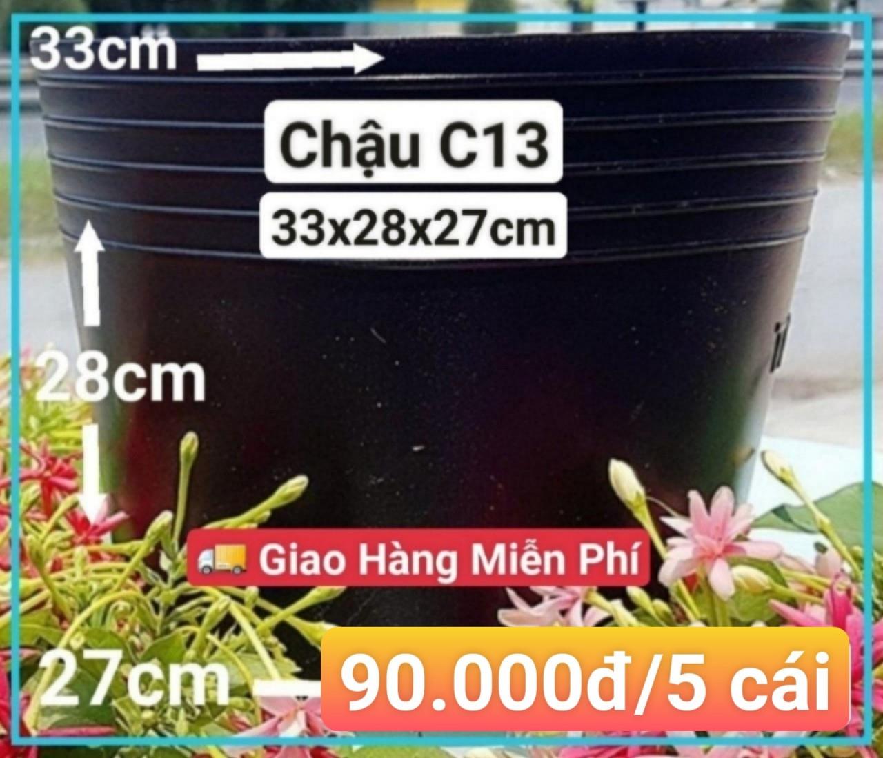 5 Chậu Mềm Đen C13