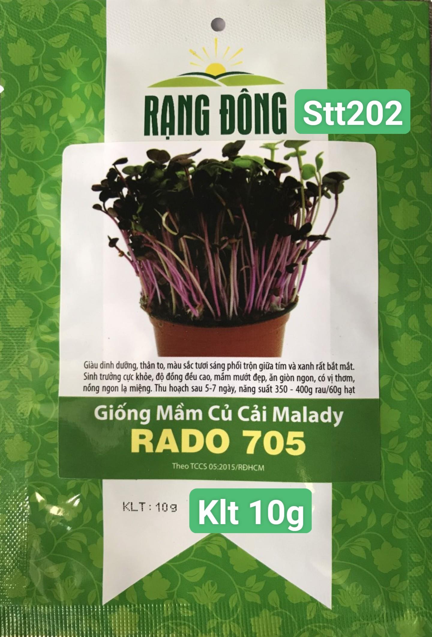 Mầm Củ Cải Malady STT202