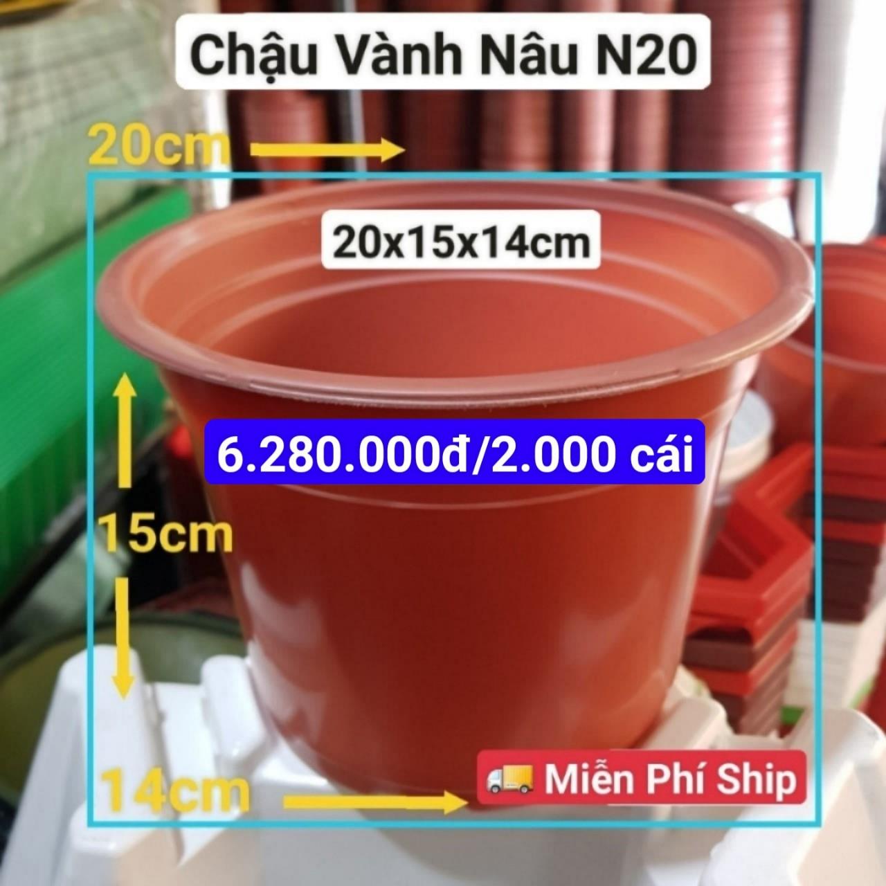 2000 Chậu Vành Nâu N20