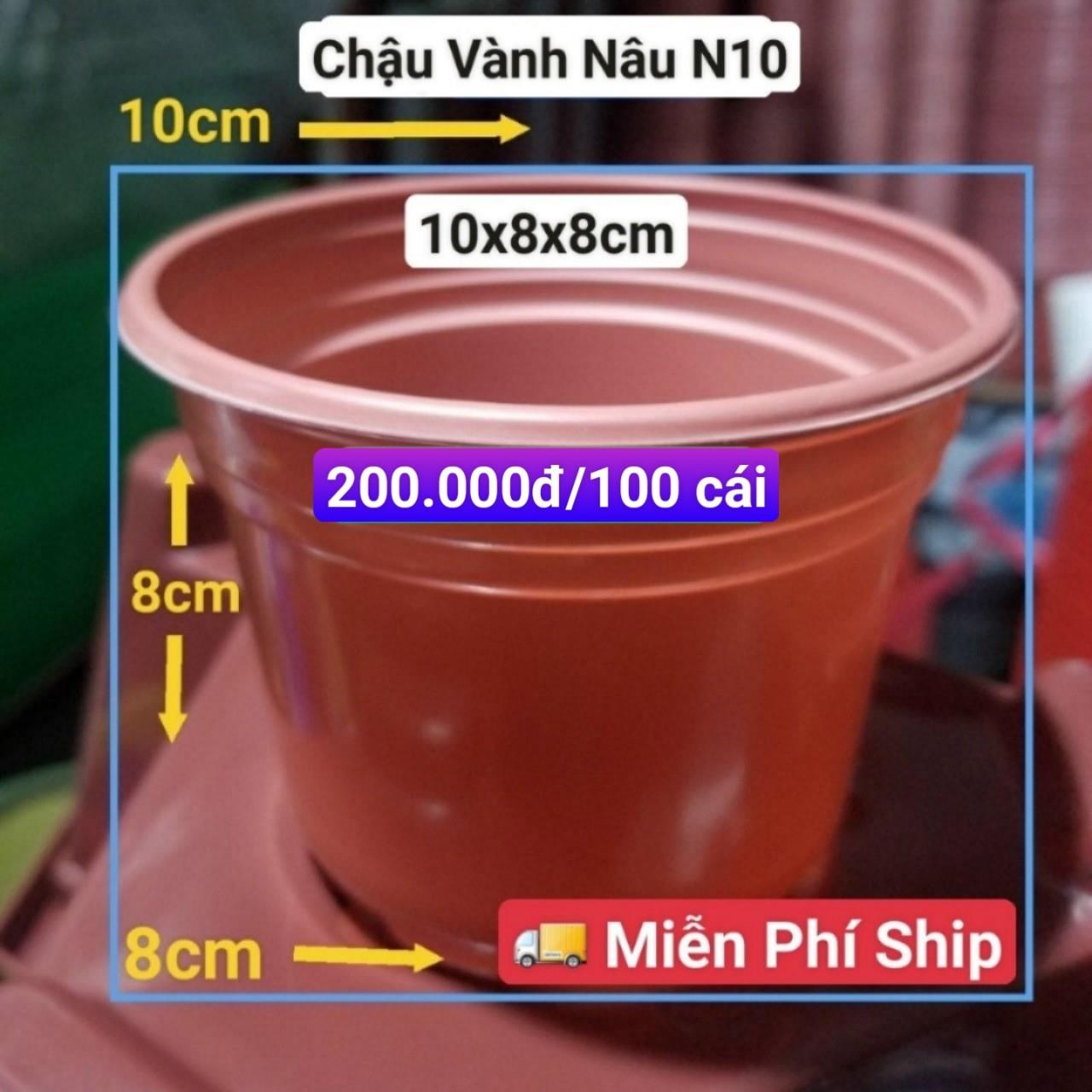 100 Chậu Vành Nâu N10