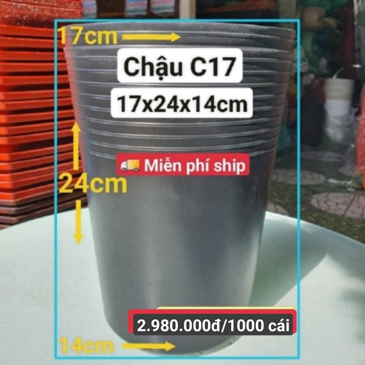 1000 Chậu Ươm Cây Giống C17