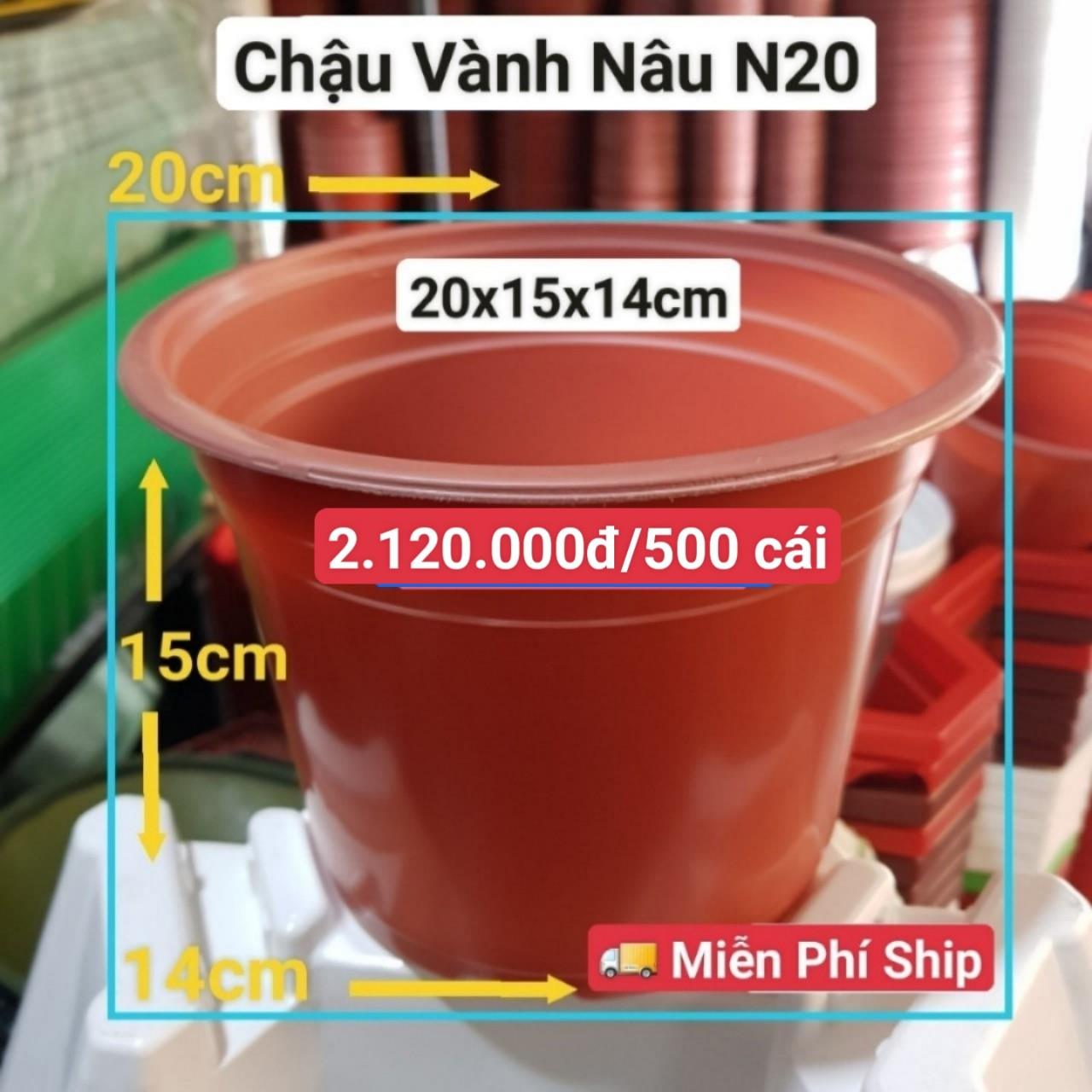 500 Chậu Vành Nâu N20