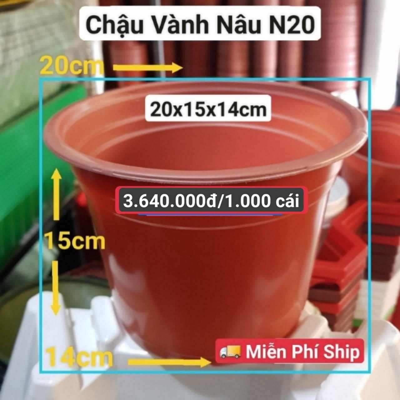 1000 Chậu Vành Nâu N20
