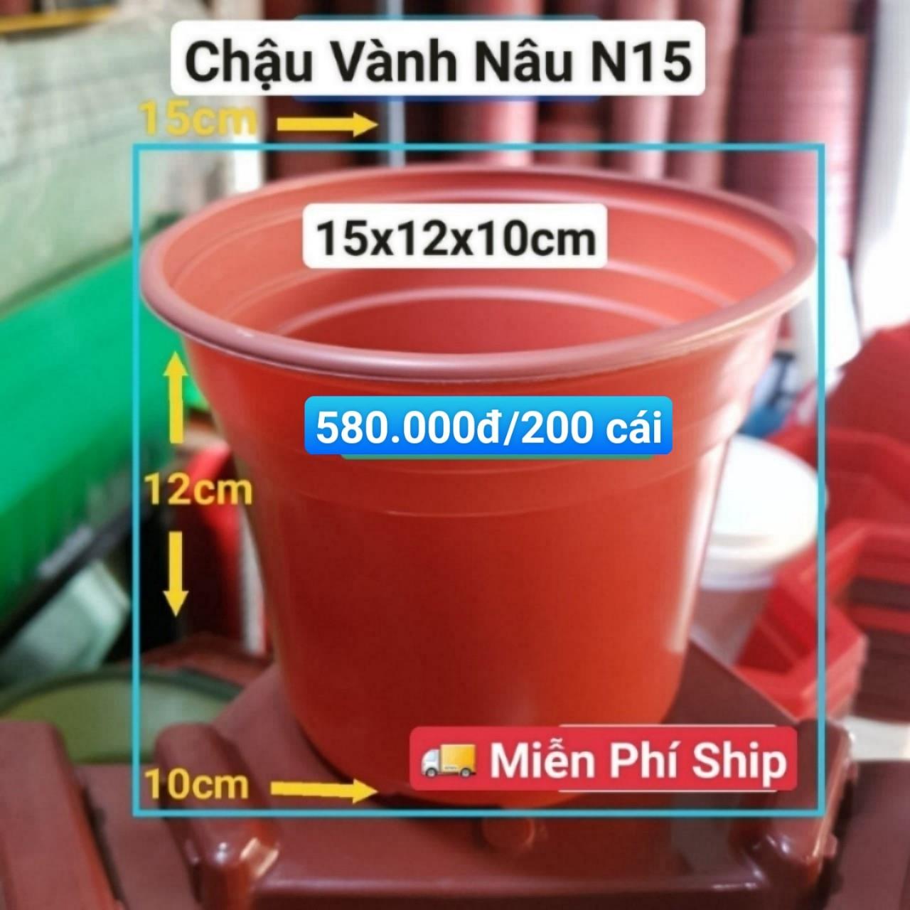 200 Chậu Vành Nâu N15