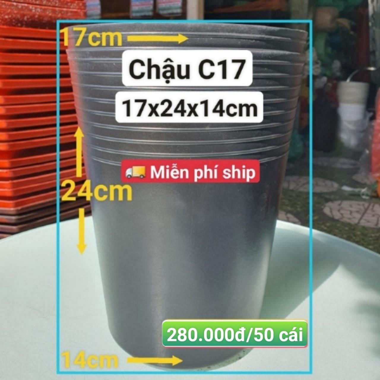 50 Chậu Ươm Cây Giống C17