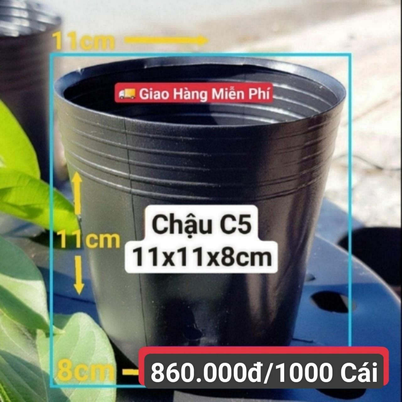 1000 Chậu Mềm Đen C5