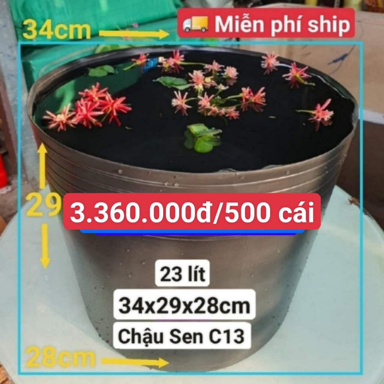 500 Chậu Nhựa Trồng Sen C13