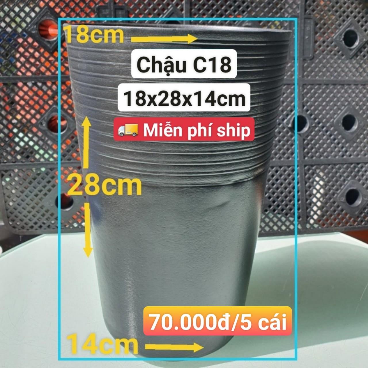 5 Chậu Ươm Cây Giống C18