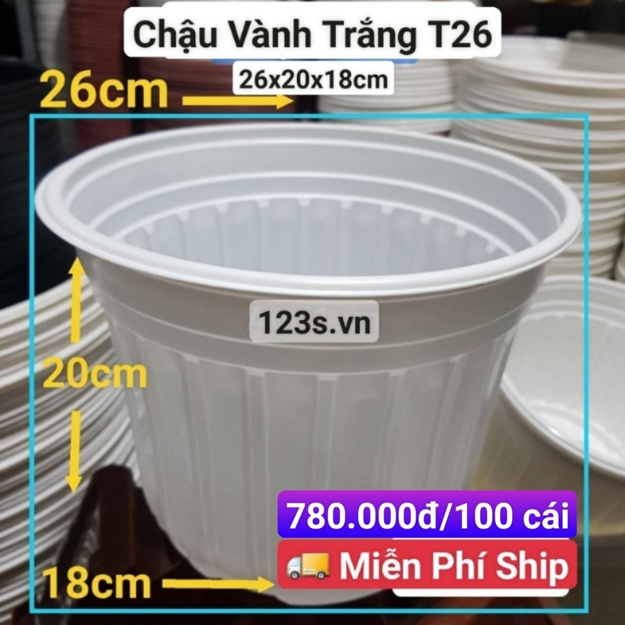 100 Chậu Vành Trắng T26