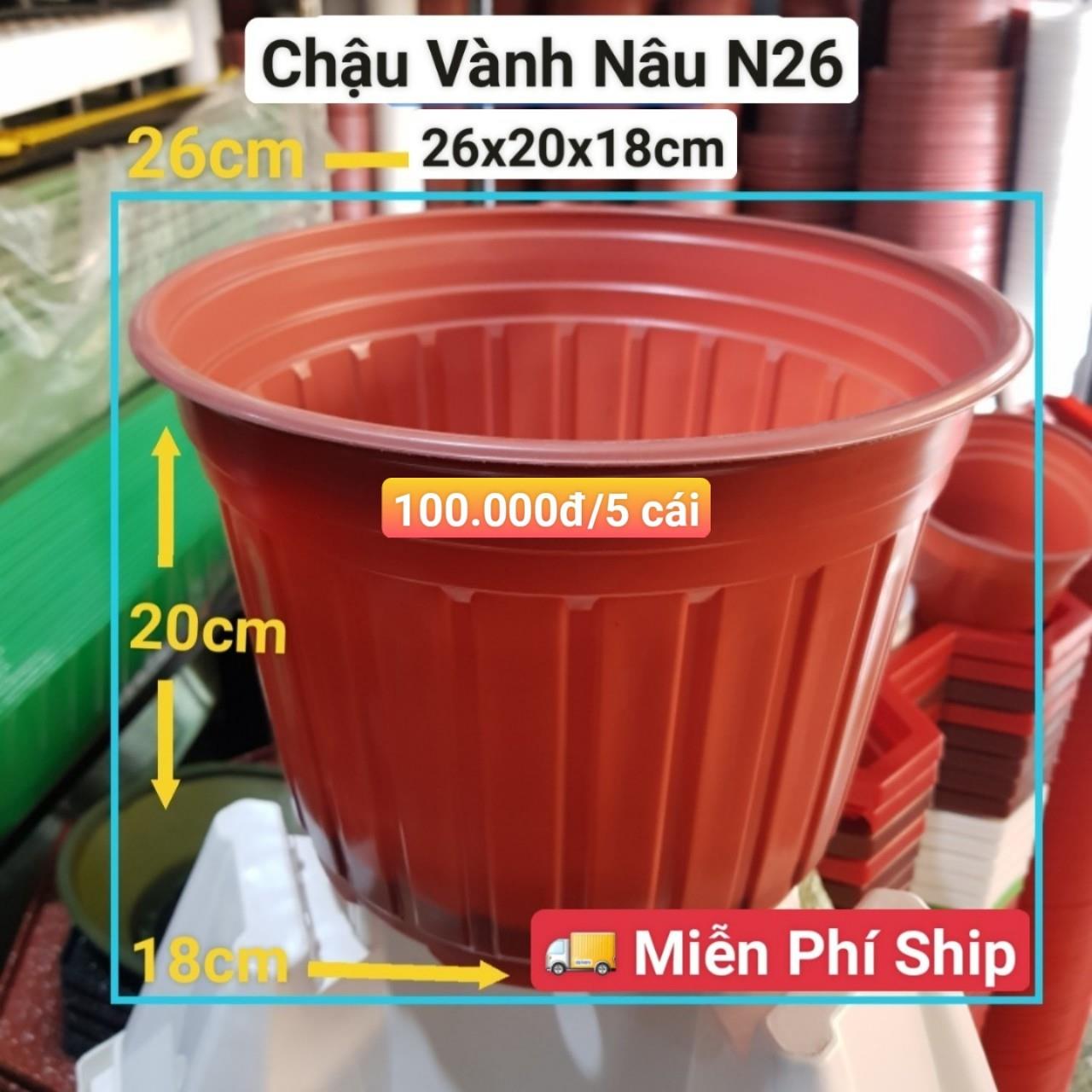 5 Chậu Vành Nâu N26