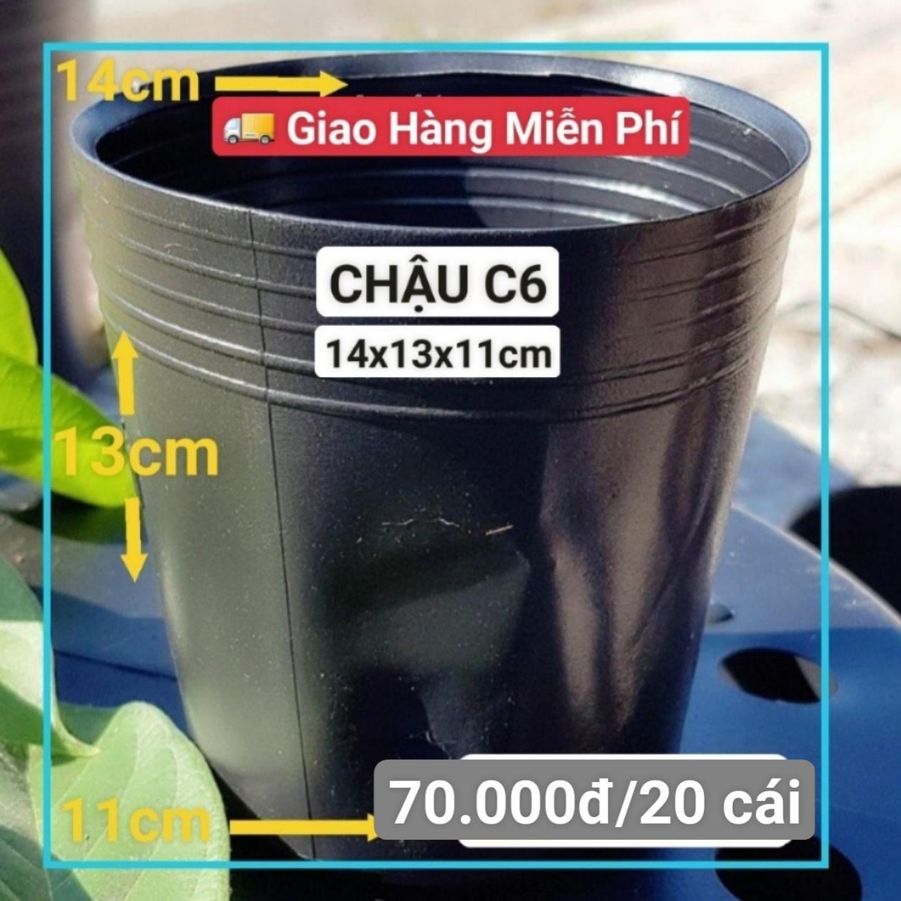 20 Chậu Mềm Đen C6