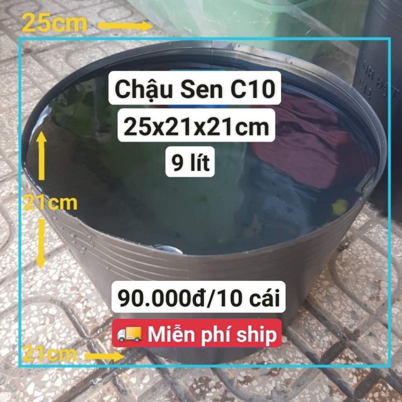 10 Chậu Nhựa Trồng Sen C10