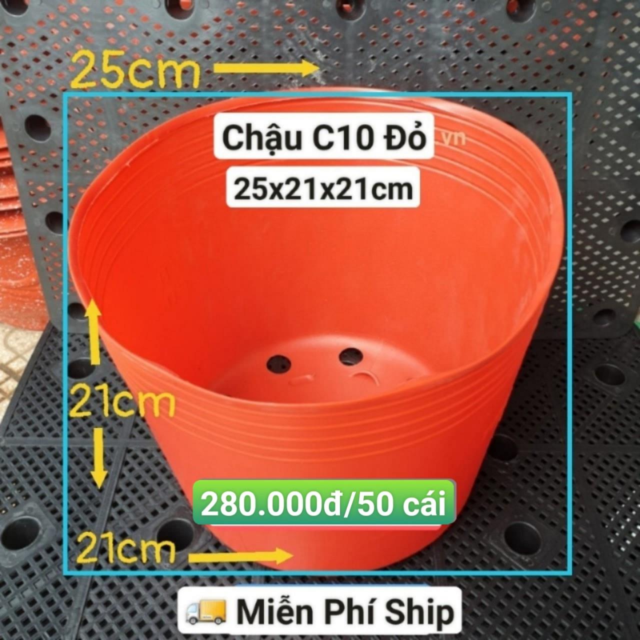 50 Chậu Mềm Đỏ C10