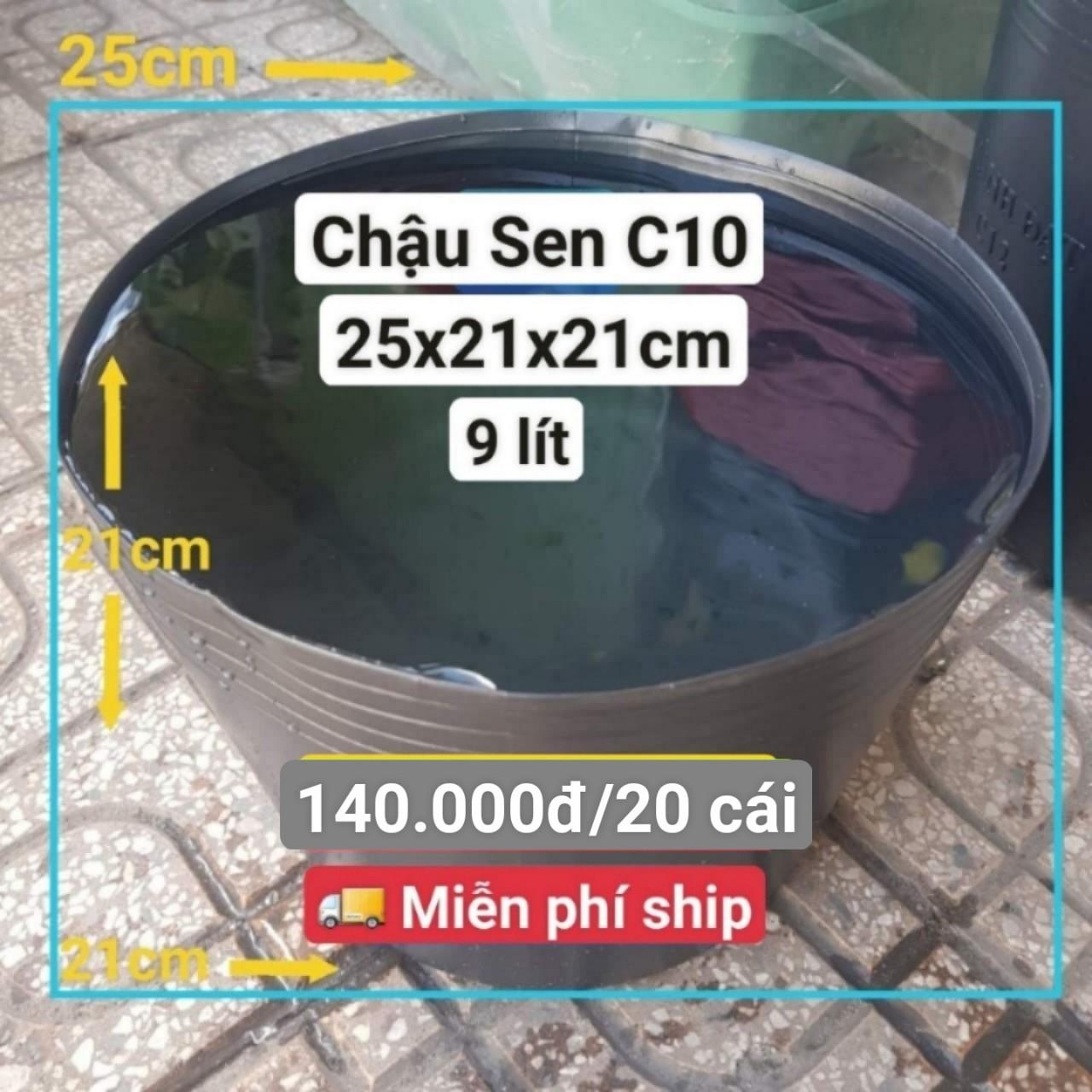 20 Chậu Nhựa Trồng Sen C10