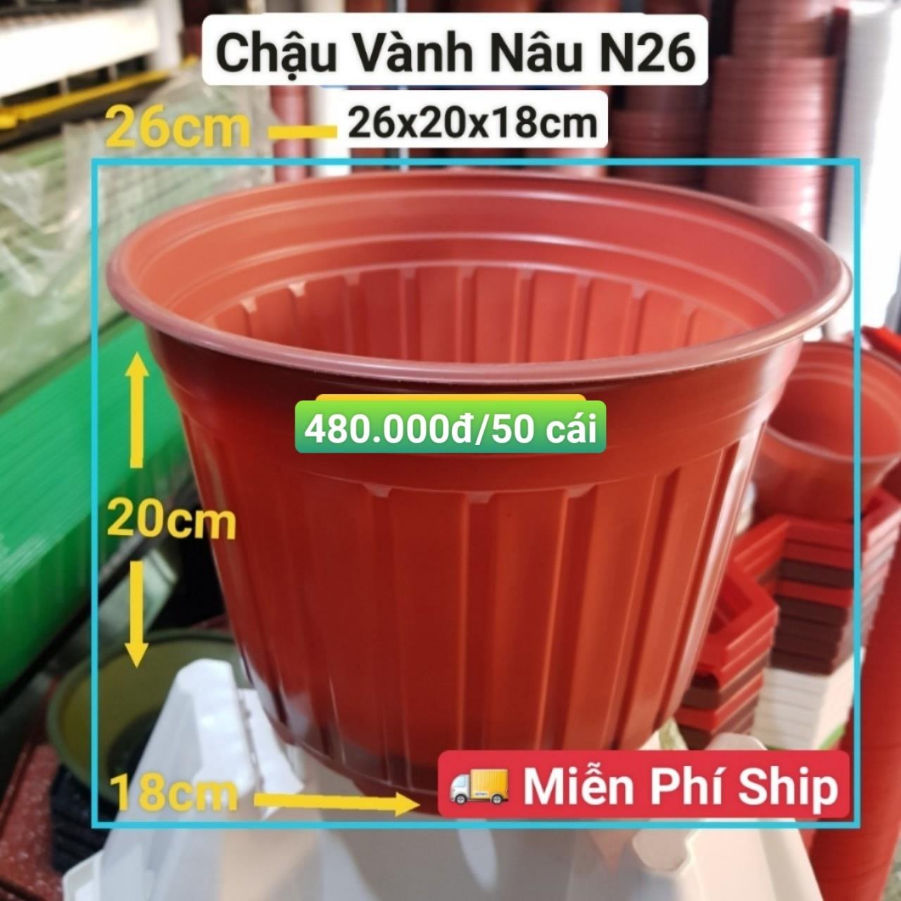 50 Chậu Vành Nâu N26