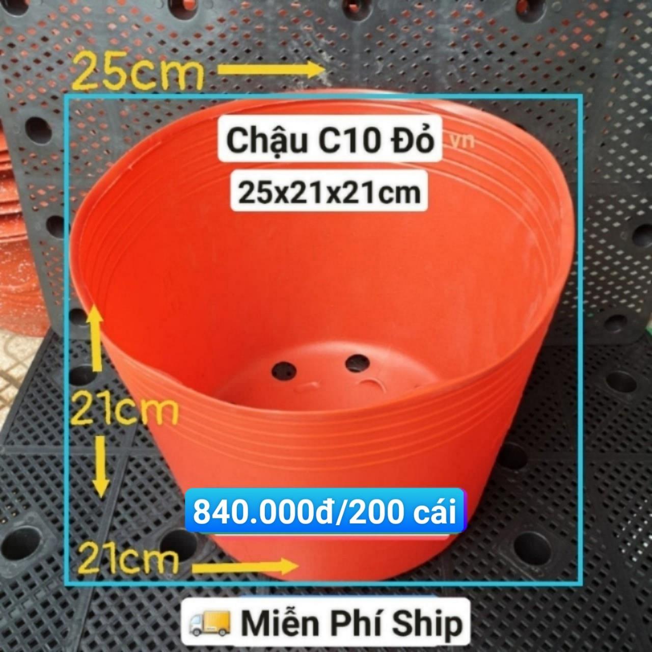 200 Chậu Mềm Đỏ C10