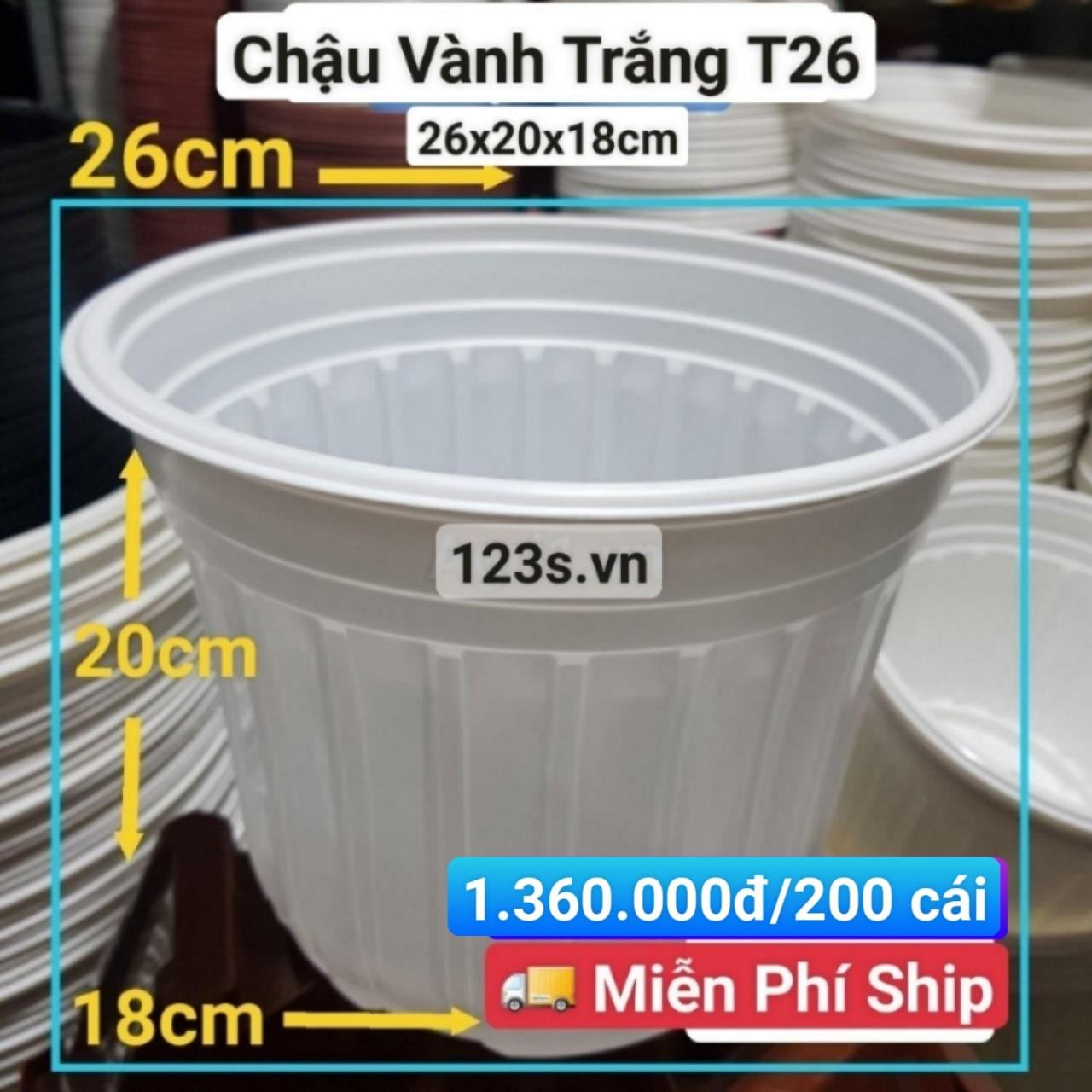 200 Chậu Vành Trắng T26