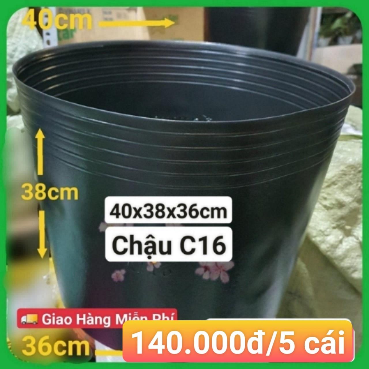 5 Chậu Mềm Đen C16