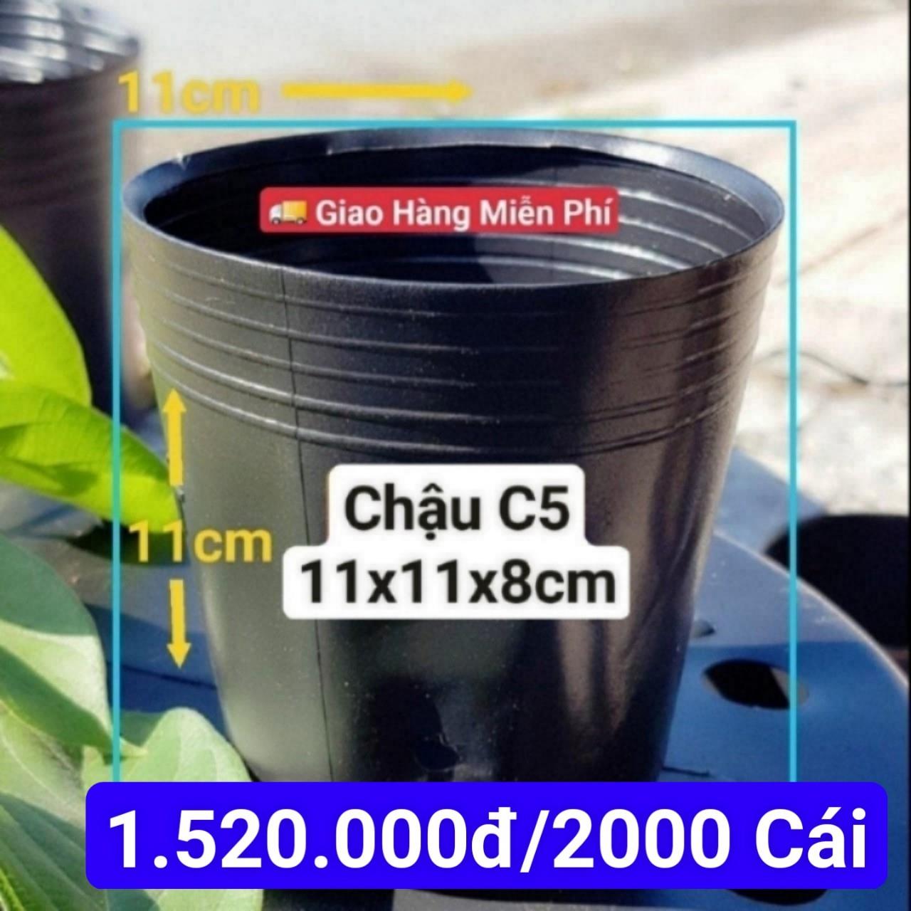2000 Chậu Mềm Đen C5