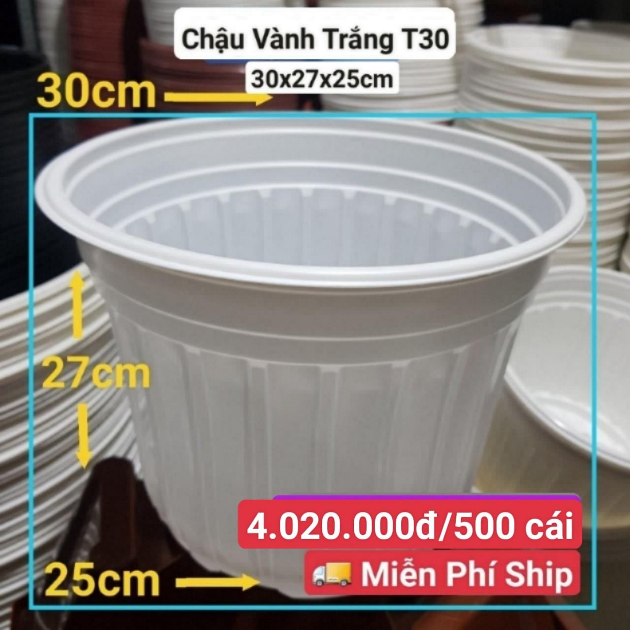 500 Chậu Vành Trắng T30