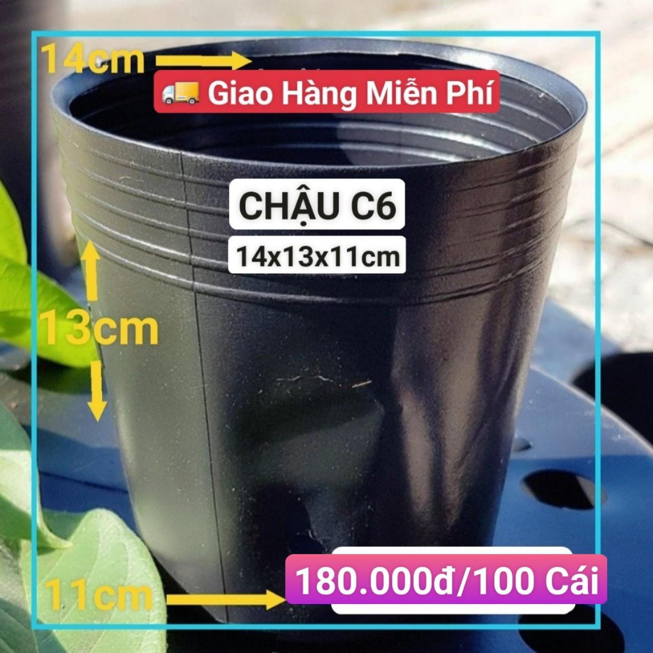 100 Chậu Mềm Đen C6