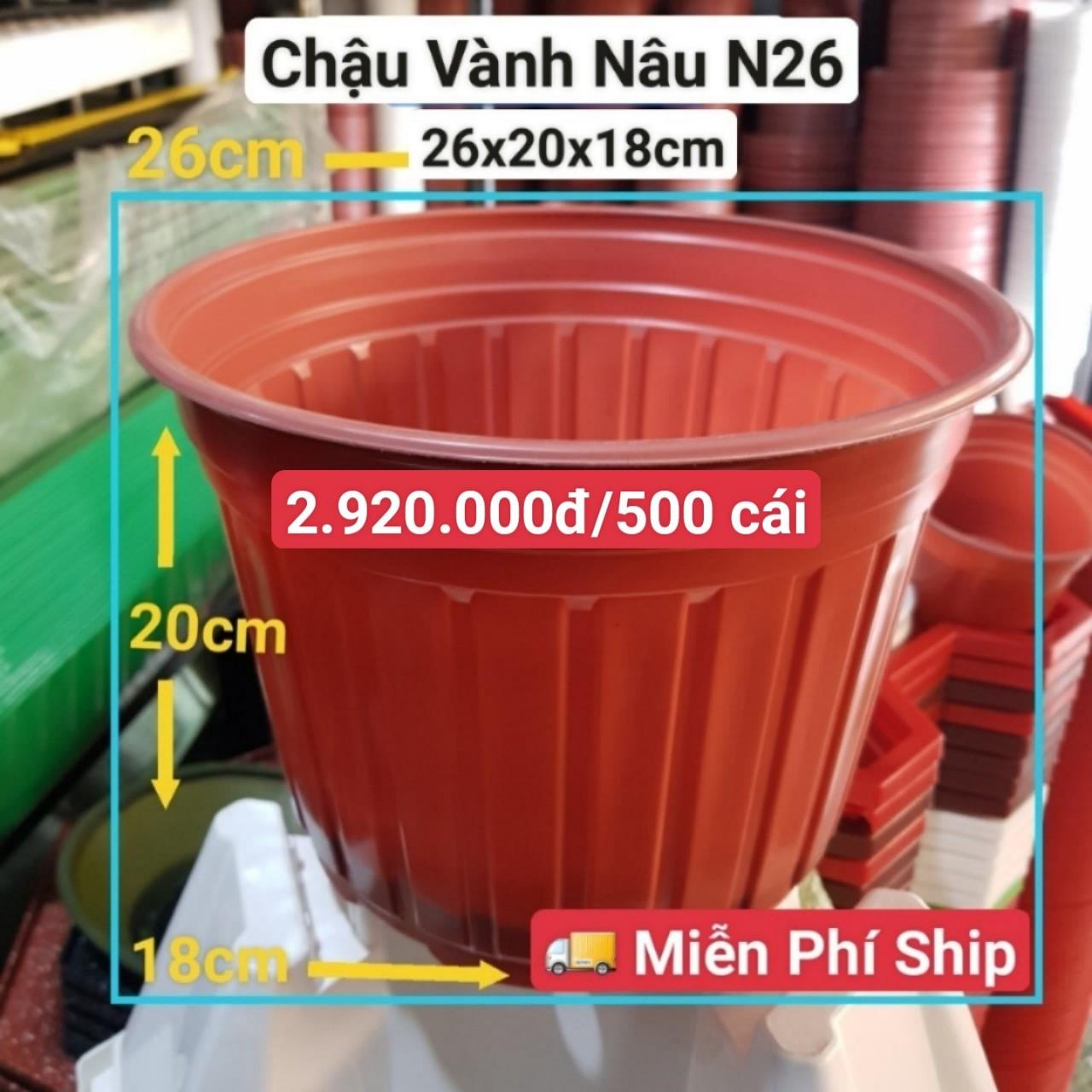 500 Chậu Vành Nâu N26