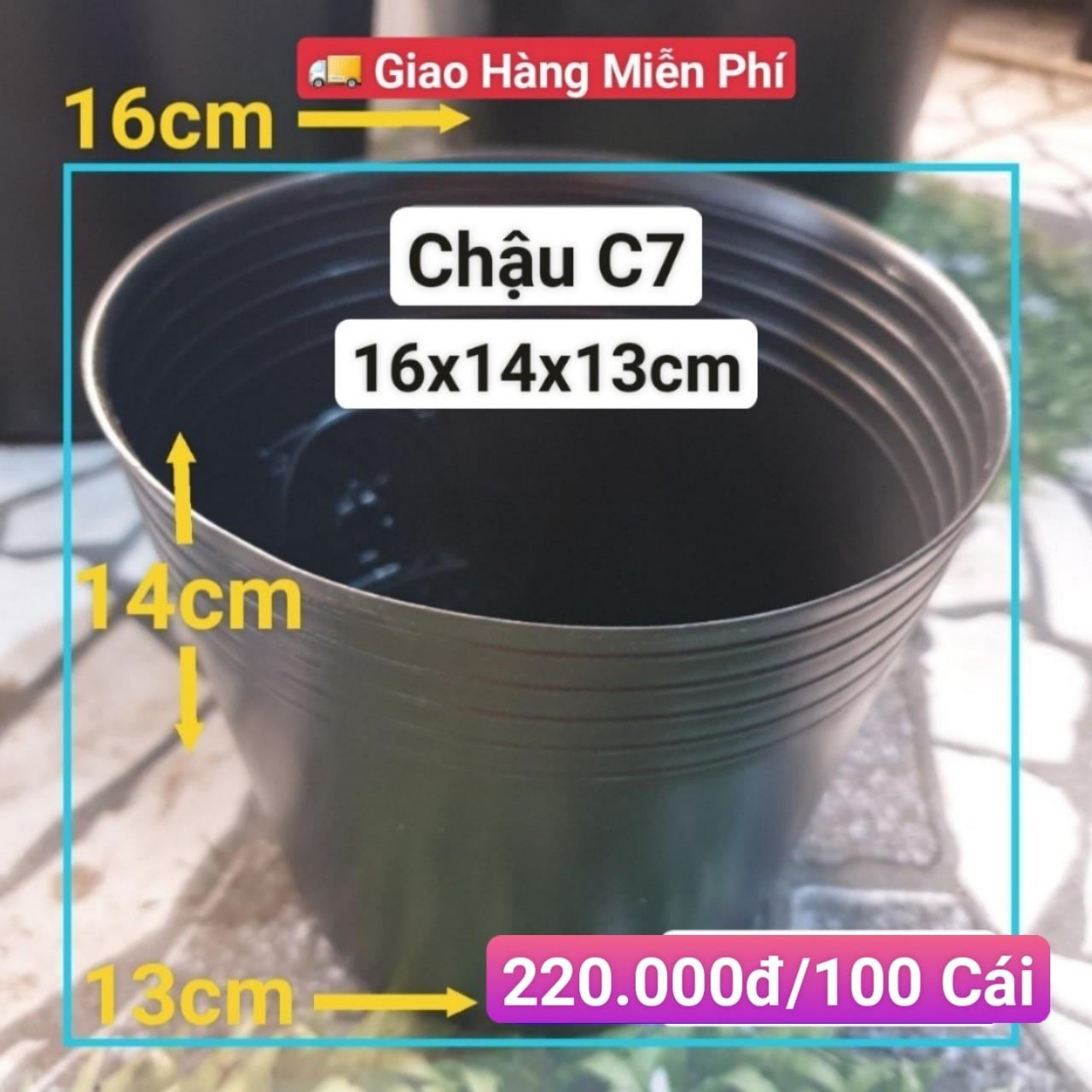 100 Chậu Mềm Đen C7
