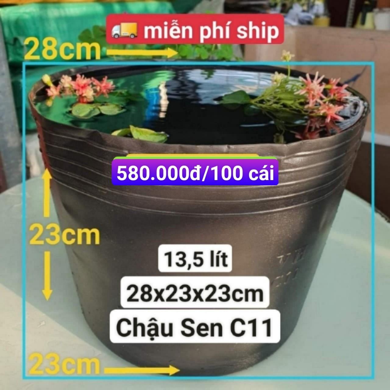 100 Chậu Nhựa Trồng Sen C11