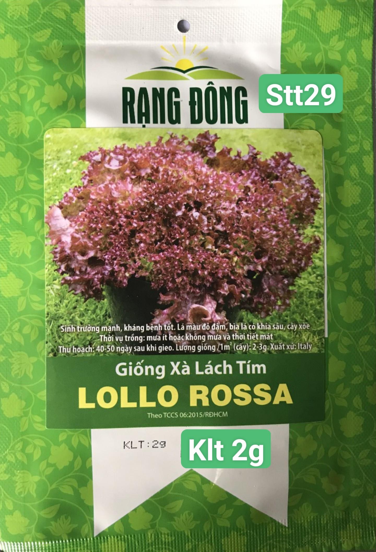 STT029 Xà Lách Tím