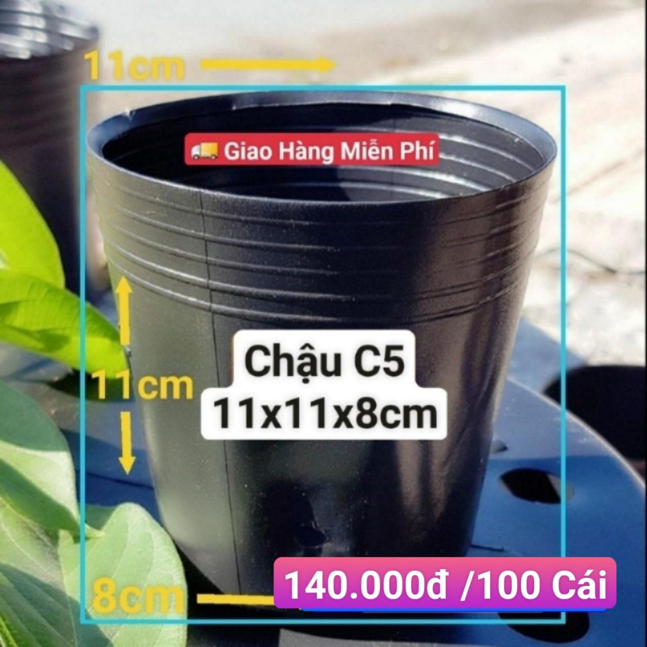 100 Chậu Mềm Đen C5