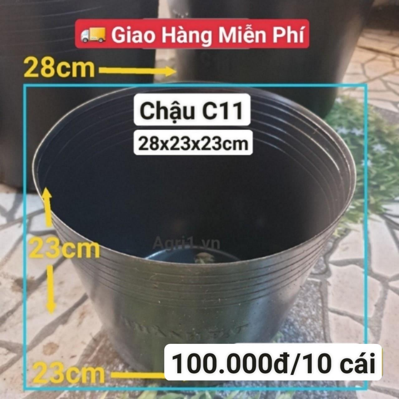 10 Chậu Mềm Đen C11
