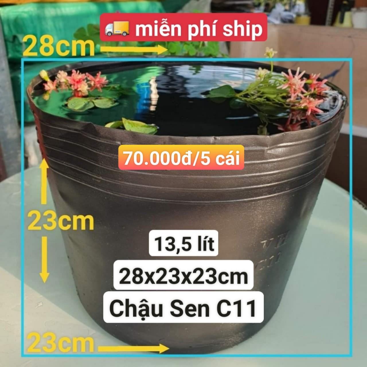 5 Chậu Nhựa Trồng Sen C11